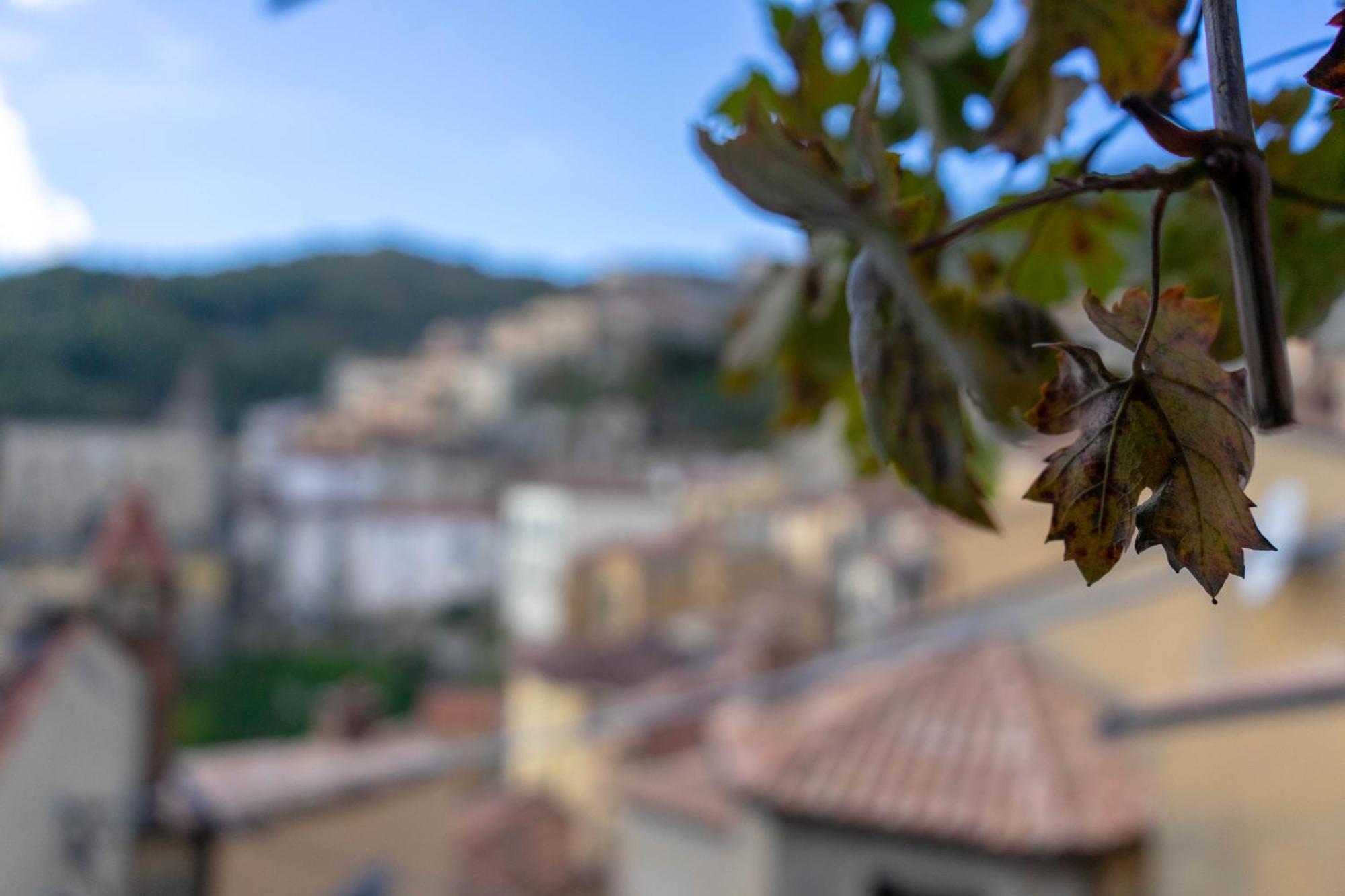 B&B Sud E Magia Castelmezzano Buitenkant foto